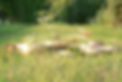 Clinic Pirawarth Nature.jpg
