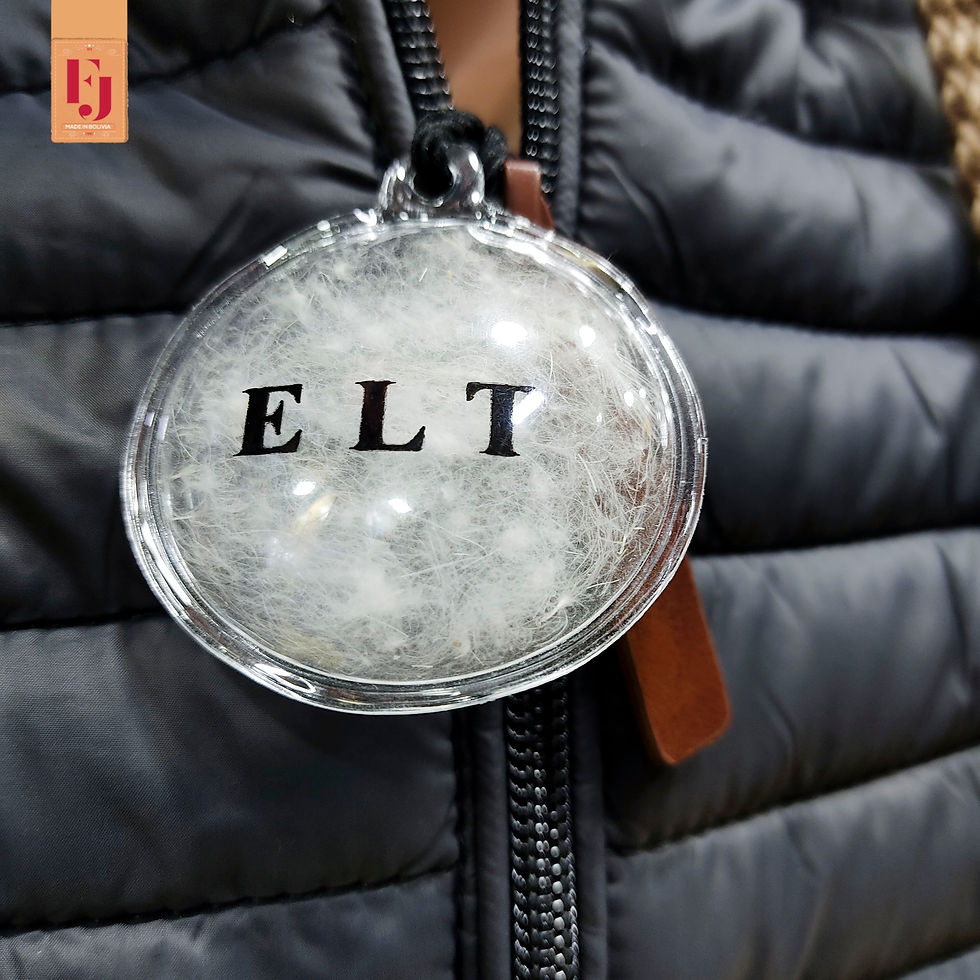 Miniatura: Chamarras para varón de pluma