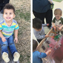 Ms Amanda & Ms Kim's Class - Toddler C