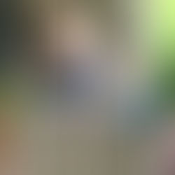 Letter from the Director!