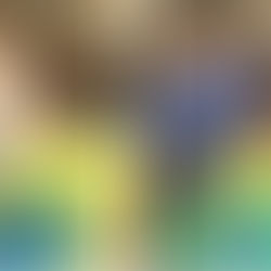 Ms Amanda's Class—Toddler 1