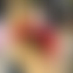 Letter from the Director