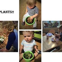 Ms Jennifer's Classroom 1