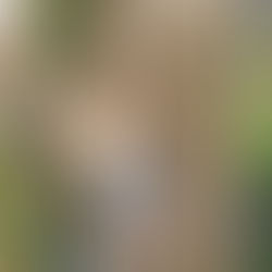 Ms Amanda & Ms Kim's Class - Toddler C