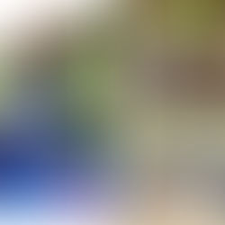 Letter from the Director!