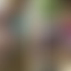 Ms Bailee's Class - Early Preschool 1