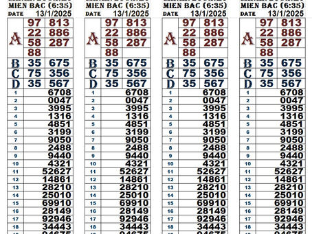 Zoo666 lottery results 13-01-25(6:30pm)