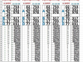 Zoo666 lottery results 11-12-24(6:30pm)
