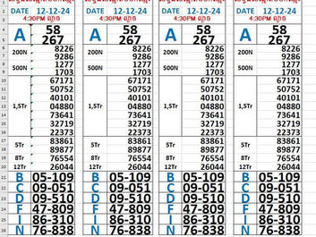 Zoo666 lottery results 12-12-24(4:30pm)