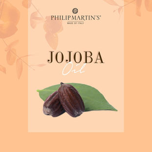 La rivitalizzazione con l’Olio di Jojoba