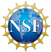 NSF National Workshop Award received