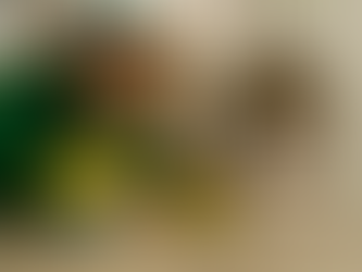 Sharing Your Home With Pets? Here’s How to Keep It Clean