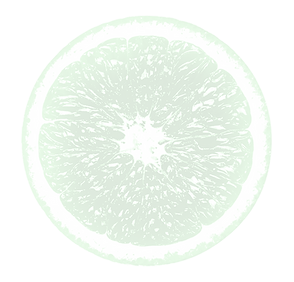 Citrus fruit slice illustration symbolising freshness and vitality at Joyful Seeds Paediatrics located in Bukit Timah.