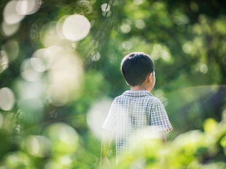 Young boy in a plaid shirt stands outdoors, surrounded by greenery and bokeh, evoking a serene, contemplative mood. Joyful Seeds Paediatric and Developmental Clinic located in Bukit Timah