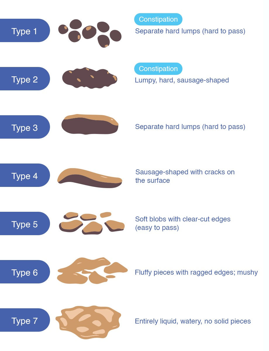 Stool diagram that indicates constipation
