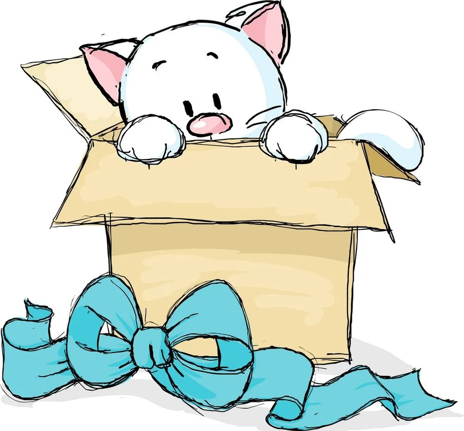 kittens for sale