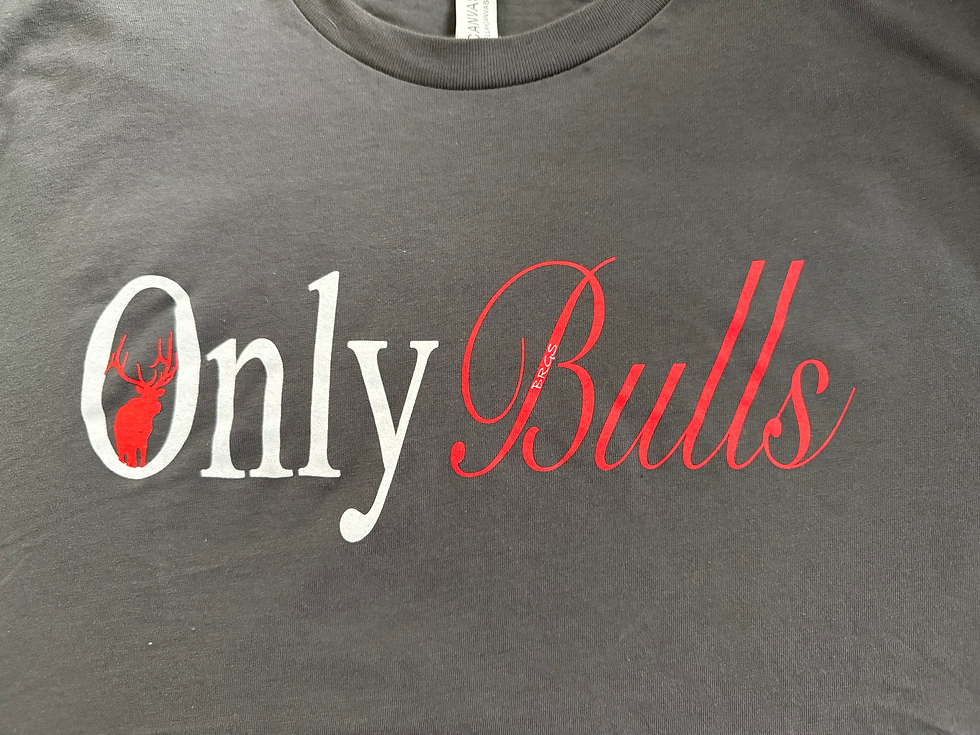 OnlyBulls T-shirt