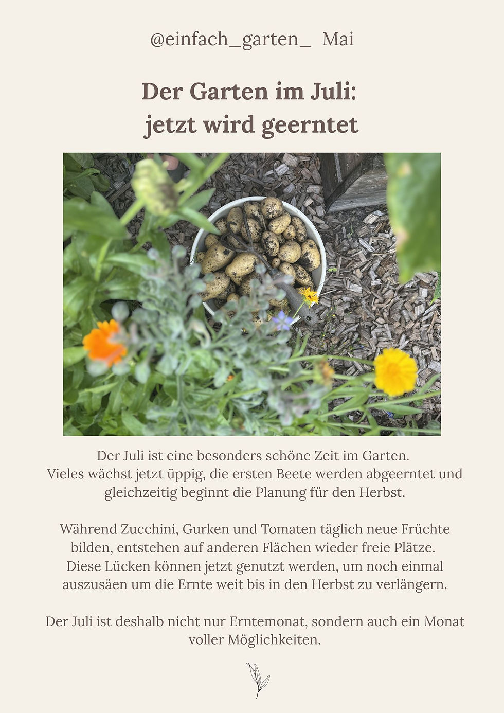 Der Newsletter für Juli