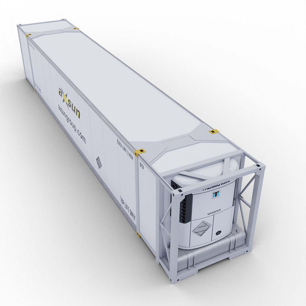 Thumbnail: Reefer Container 53FT V1