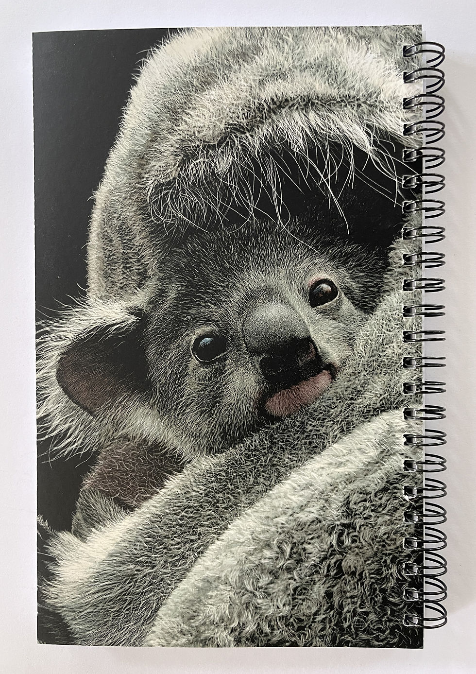 Thumbnail: Lined Notebook - Embracing hope (koala)