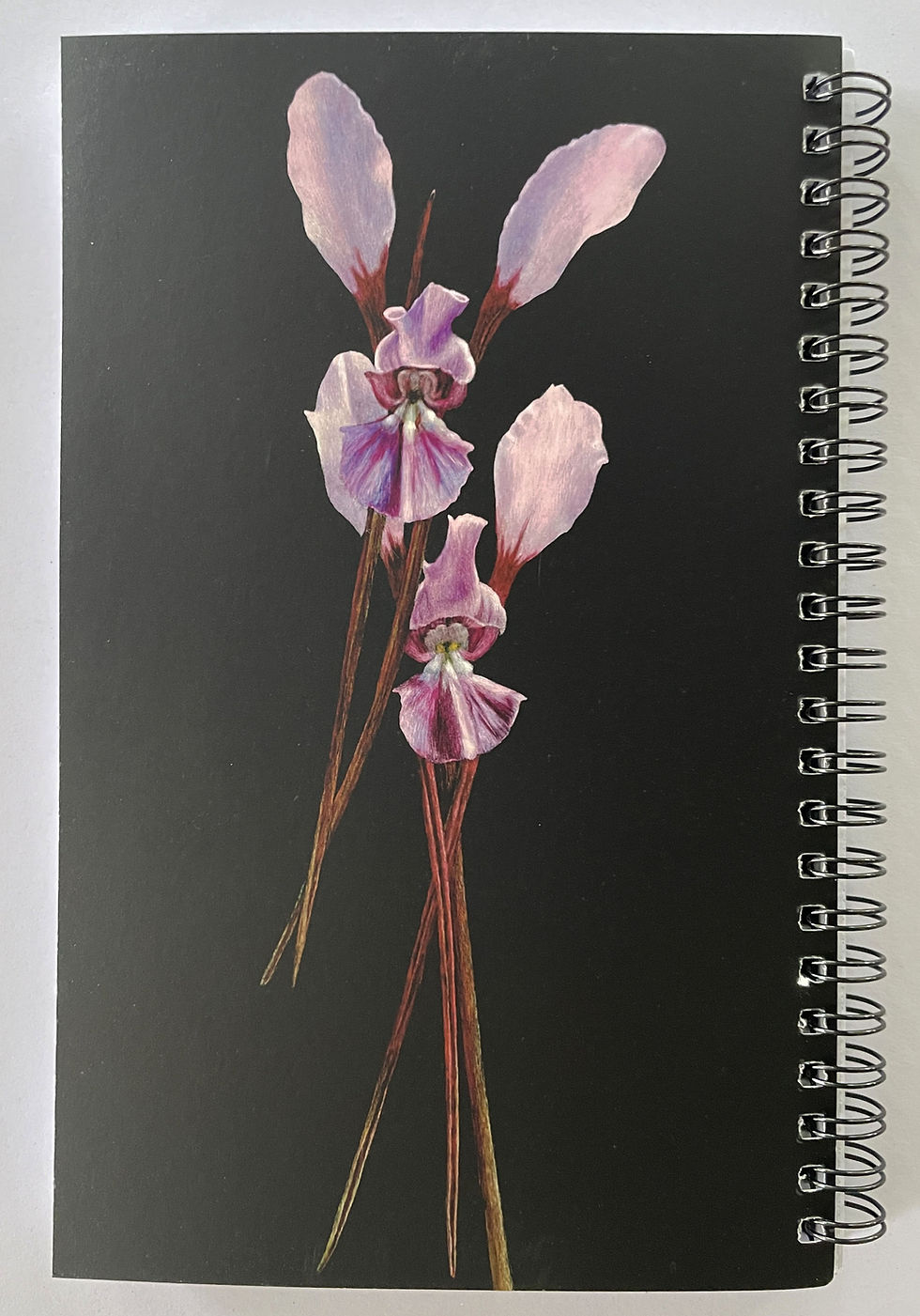 Thumbnail: Lined Notebook - Dancing duo (purple donkey orchid)