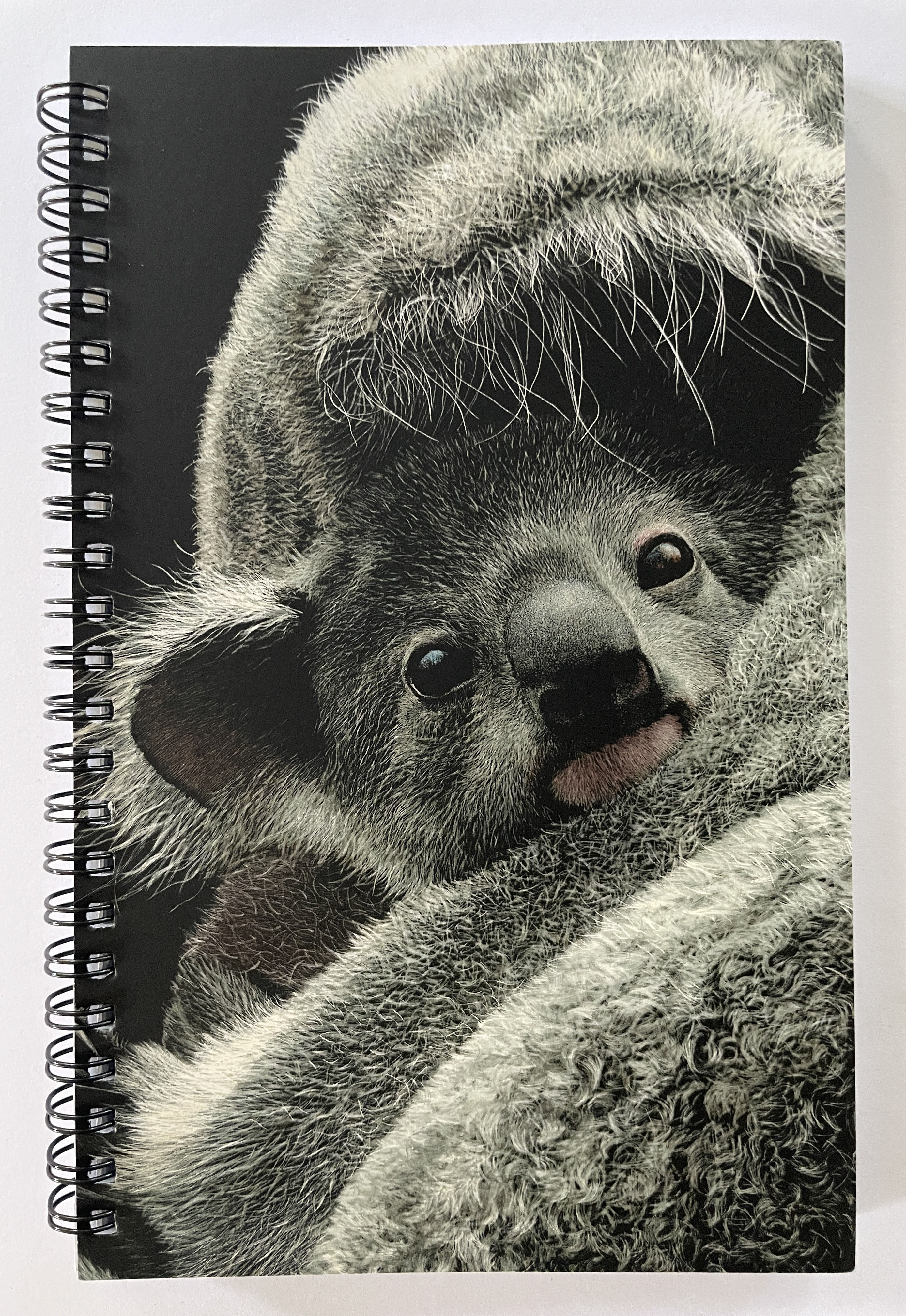 Lined Notebook - Embracing hope (koala)