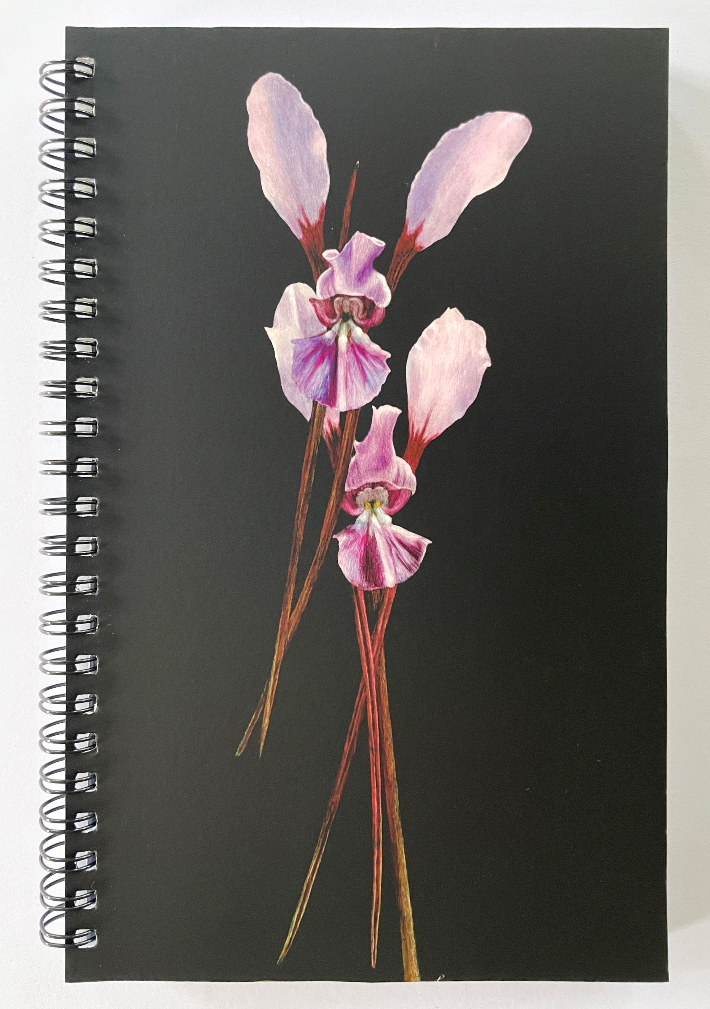 Lined Notebook - Dancing duo (purple donkey orchid)
