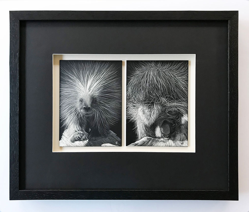 Thumbnail: Coming and going - original scratchboard