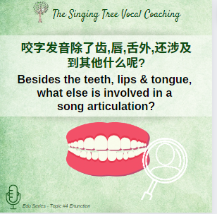 Edu Series Topic #4 – Enunciation 咬字
