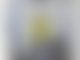 2024年6月5日 燃料油脂新聞