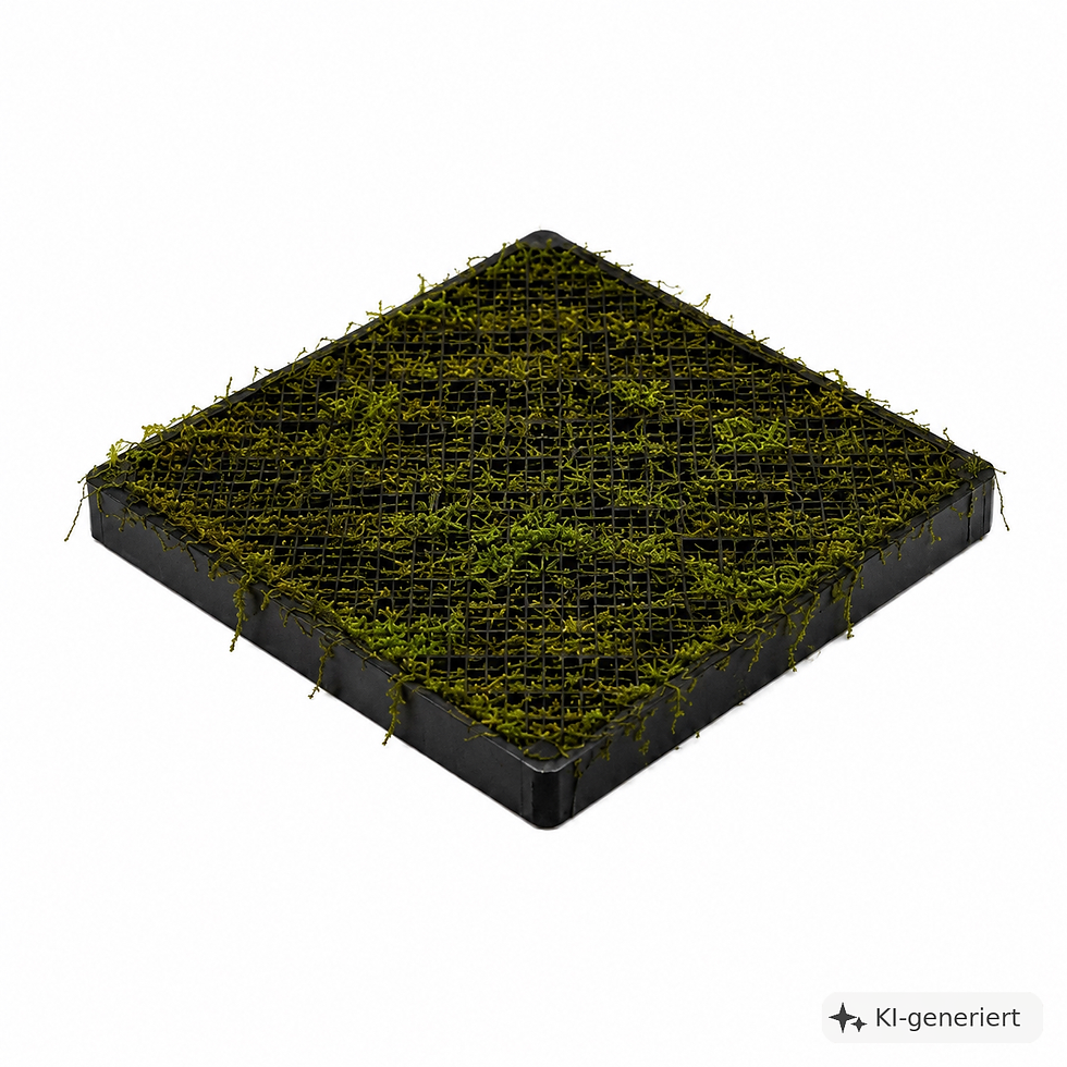 10x10 cm Moosgitter für Aquarien mit 2,5 cm hohen Stelzen zur erhöhten Platzierung von Moosen und Aufsitzerpflanzen