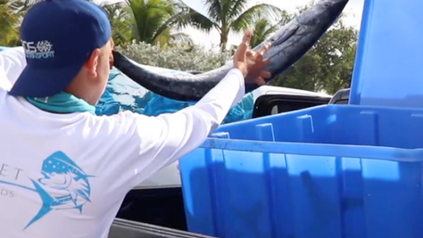 Fillet for Friends: Students Donate Surplus Fish to Help Feed the Less Fortunate