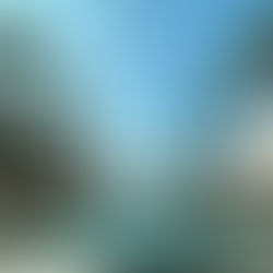 How to Take Great Photos with Your Phone!