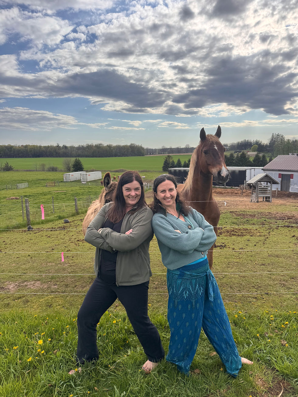 Sunset Sanctuary: Yin Yoga Session by Donation