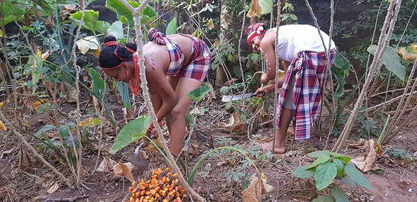 See Typical Village Setting Pre-Wedding Photos Of Beautiful Couple.