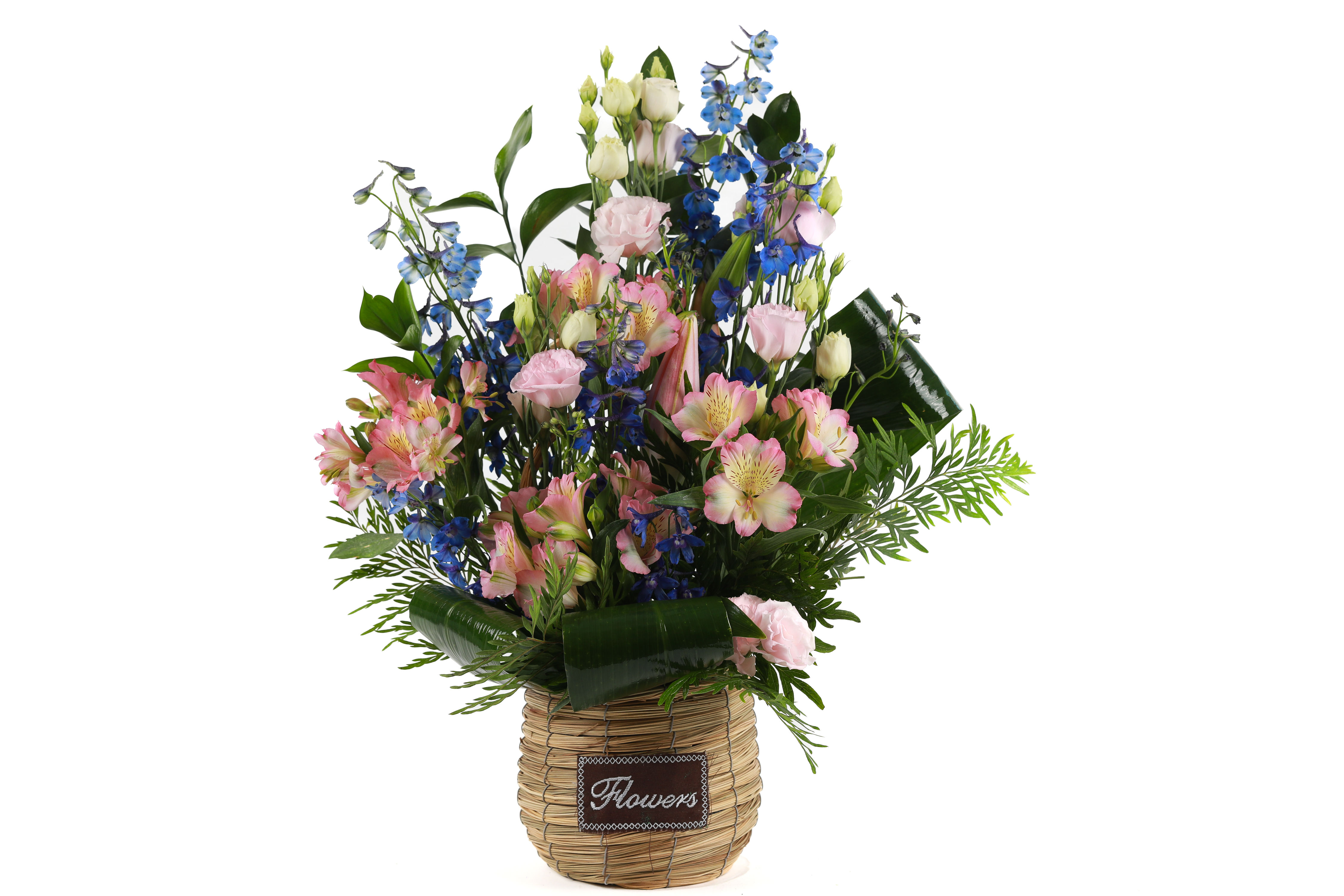 סלסלת היער הקסום