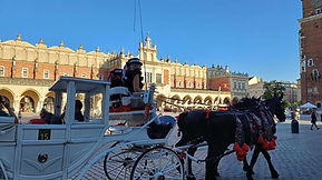 VIAGGIO A CRACOVIA