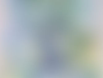 Trentesima puntata - Parashat Tetzavhe: l'ulivo e la Luce che brucia