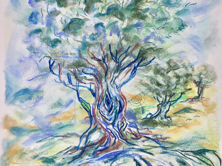 Trentesima puntata - Parashat Tetzavhe: l'ulivo e la Luce che brucia