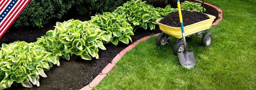 black-mulch-single_edited.jpg
