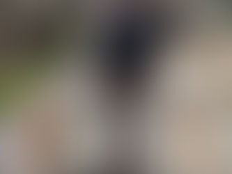 "Combien de temps faut-il pour éduquer un chien ?