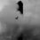Thumbnail: Lauren Souras, Untitled, 2020