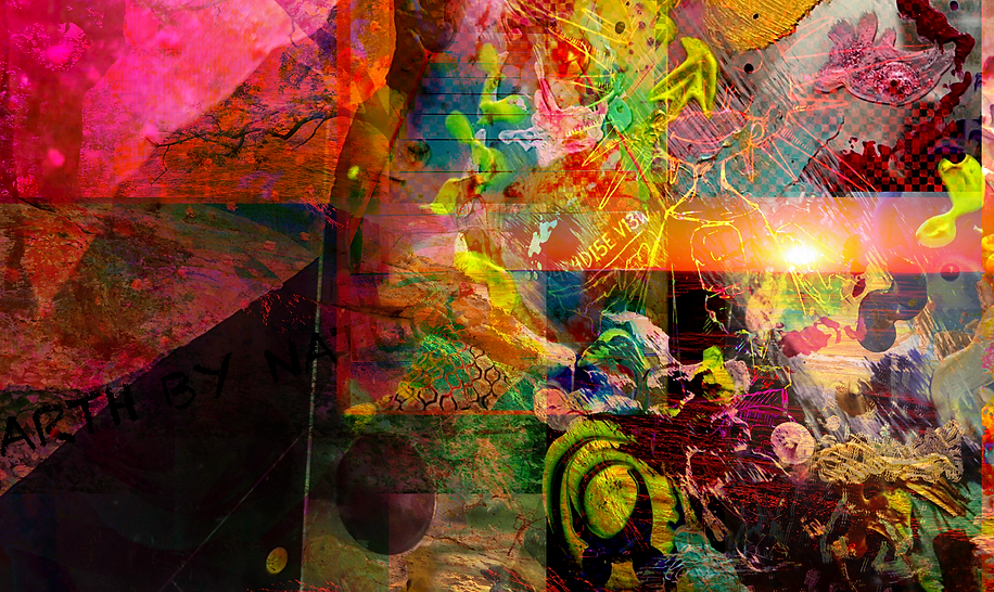 PARADISE VIEWneu.png