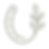 FOCUS (icon).png