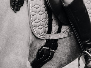 Unlocking Peak Equestrian Performance: Does Cognitive Behavioral Hypnotherapy work online?