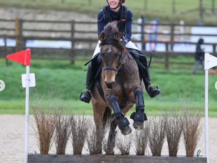 Hypnotherapy for Equestrians: What to Expect (No Woo-Woo!)