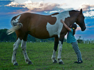 Overcoming Lost Confidence in Horse Riding: Your Path to Renewed Joy