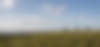 Fresh Focus Therapy 1.png