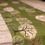 Thumbnail: Table runners