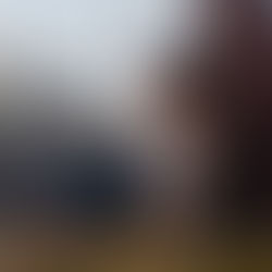 The Wise Her: Tapping into Your Inner Voice for Greater Clarity and Confidence